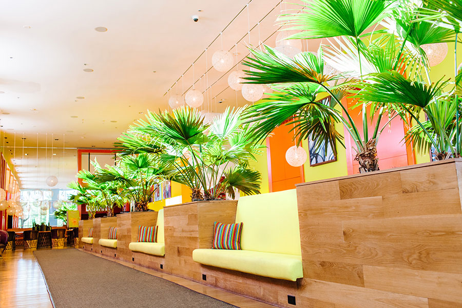 Saguaro Hotel AZ photo 2